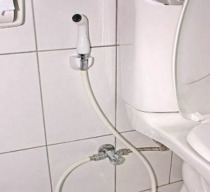 Гигиенический душ для унитаза фото в интерьере